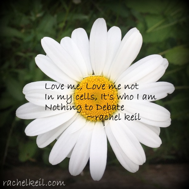 LoveMeLoveMeNot-Blog-haiku